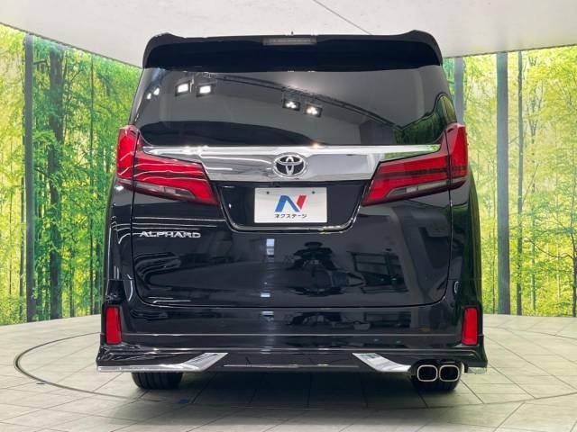 Toyota ALPHARD 2020-11 196779-16