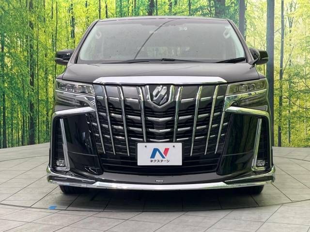 Toyota ALPHARD 2020-11 196779-15
