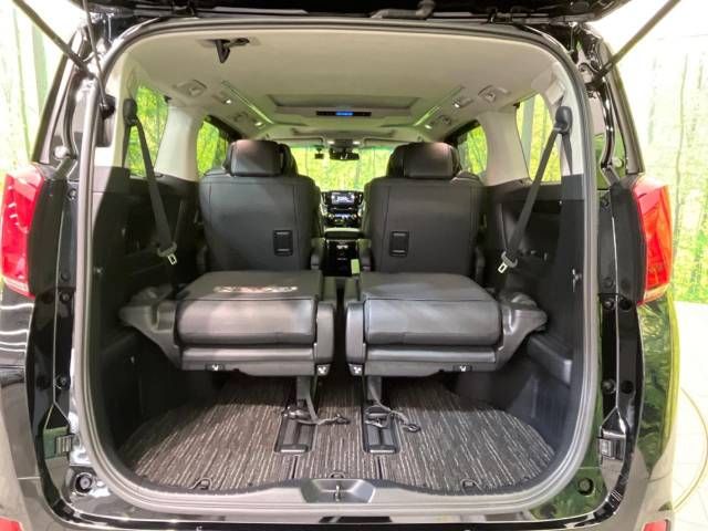 Toyota ALPHARD 2020-11 196779-11