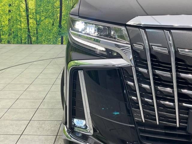 Toyota ALPHARD 2020-11 196779-13