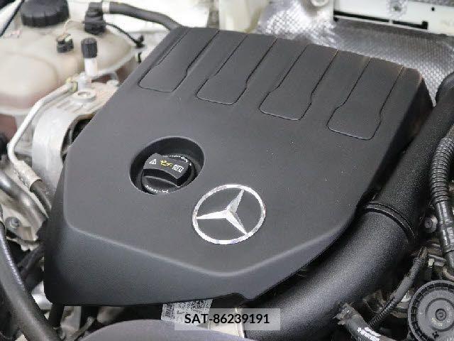 Mercedes Benz B-CLASS 2019-07 234429-5