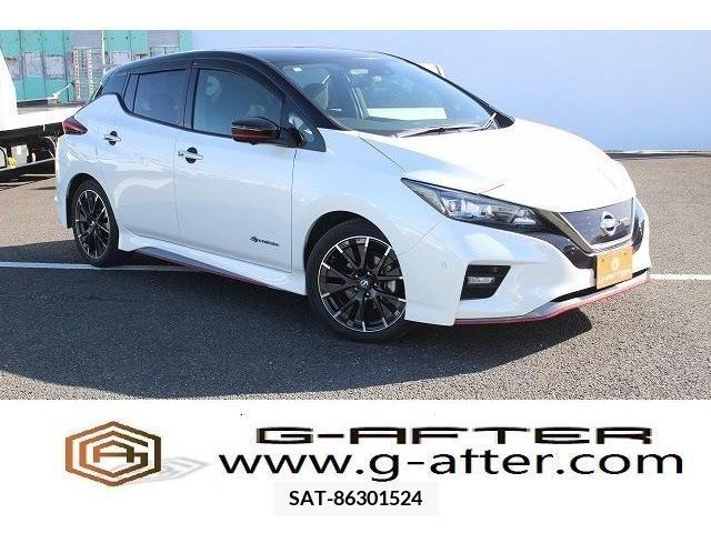 Nissan LEAF 2018-09 372594-0