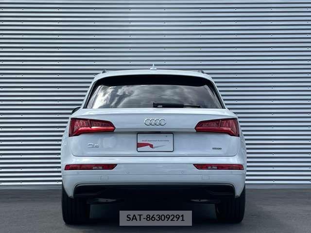 Audi Q5 2019-03 317966-7