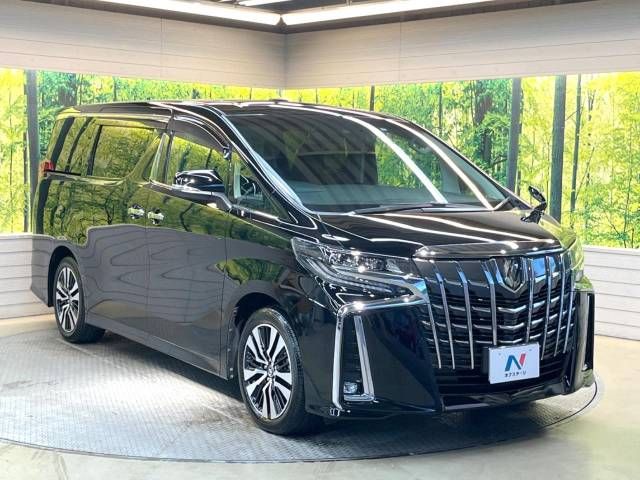 Toyota ALPHARD 2021-03 8787-18
