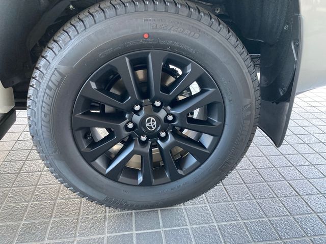 Toyota PRADO 2022-09 13777-8