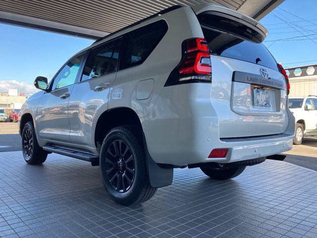 Toyota PRADO 2022-09 13777-7