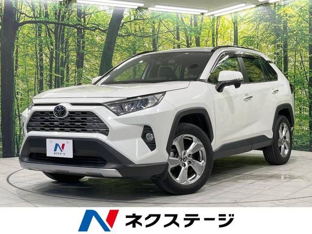 Toyota RAV4 2020-06 4448-0