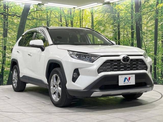 Toyota RAV4 2020-06 4448-16