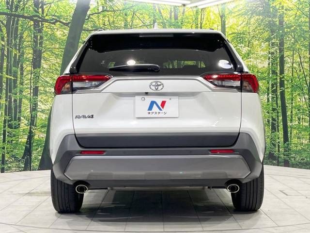 Toyota RAV4 2020-06 4448-15