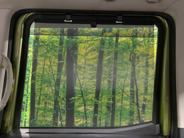 Nissan DAYZ ROOX 2018-10 13025-6