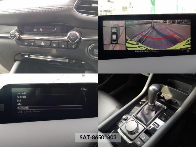 Mazda MAZDA3 2019-08 256343-5
