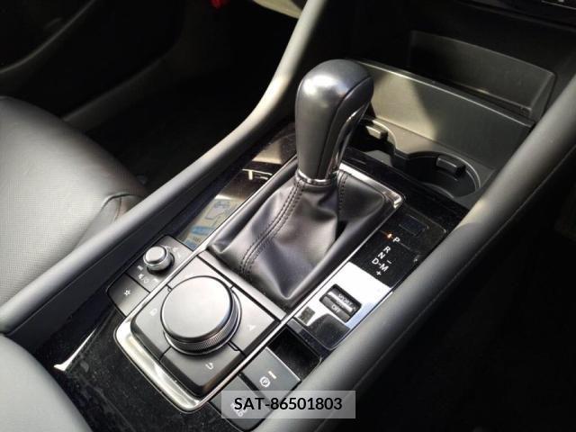 Mazda MAZDA3 2019-08 256343-19