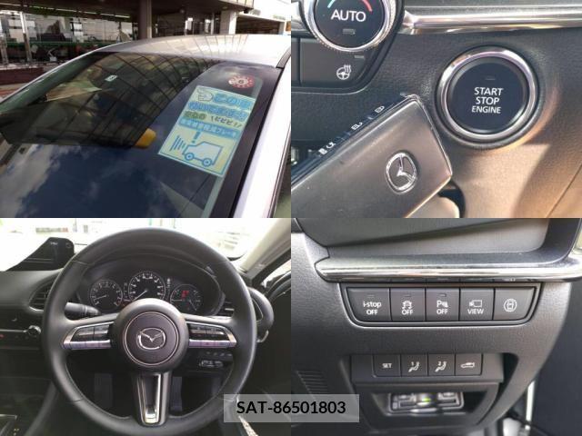 Mazda MAZDA3 2019-08 256343-4