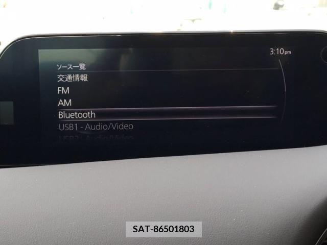 Mazda MAZDA3 2019-08 256343-18