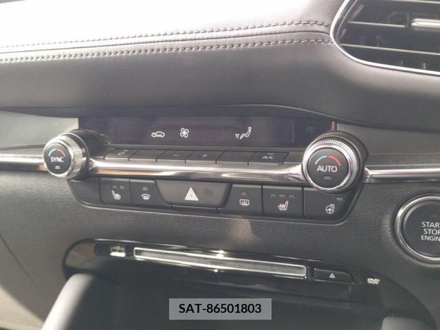 Mazda MAZDA3 2019-08 256343-16
