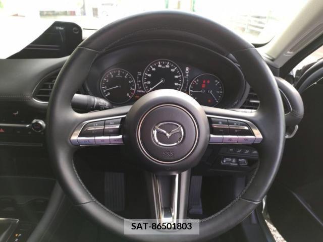 Mazda MAZDA3 2019-08 256343-14