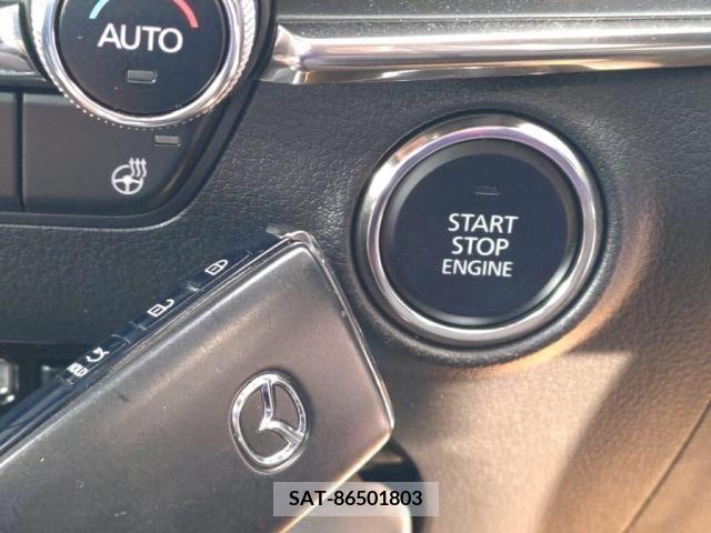 Mazda MAZDA3 2019-08 256343-13