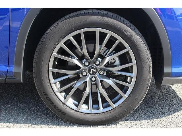 Lexus RX 2018-09 14172-9