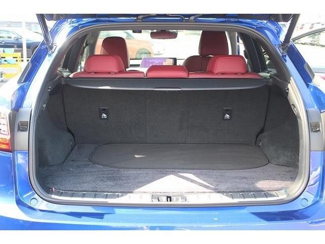 Lexus RX 2018-09 14172-16
