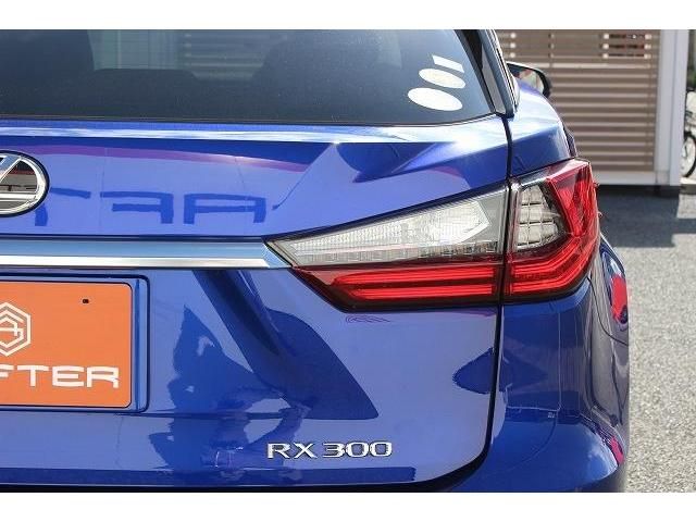 Lexus RX 2018-09 14172-11