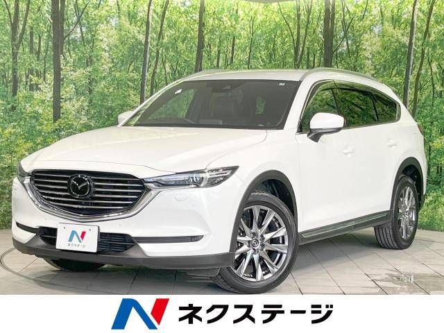 Mazda CX-8 2019-03 188018-0