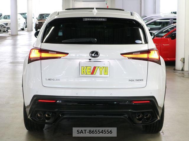 Lexus NX 2019-09 275622-5