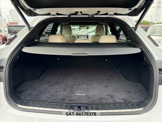 Lexus RX 2017-07 299707-18