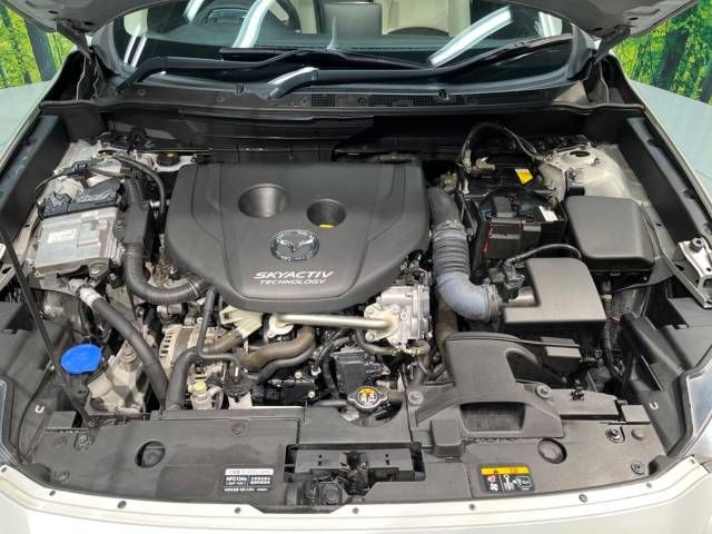 Mazda CX-3 2015-08 22818-18