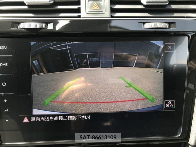 VolksWagen GOLF VARIANT 2018-06 239088-19