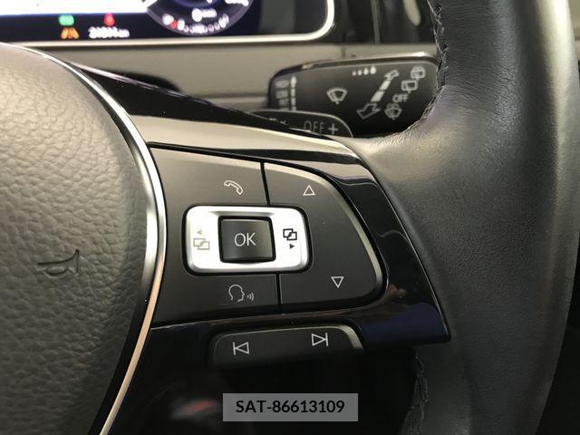VolksWagen GOLF VARIANT 2018-06 239088-17