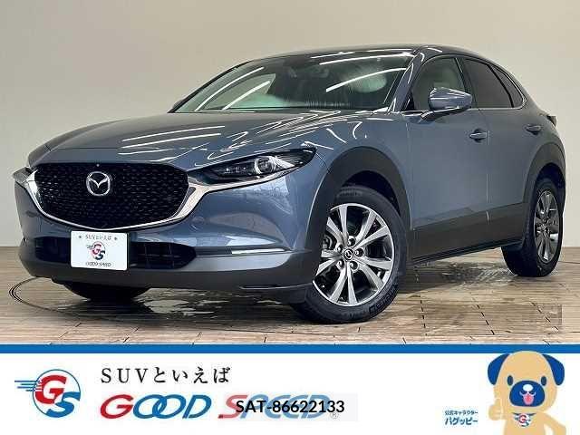Mazda CX-30 2019-12 302109-0