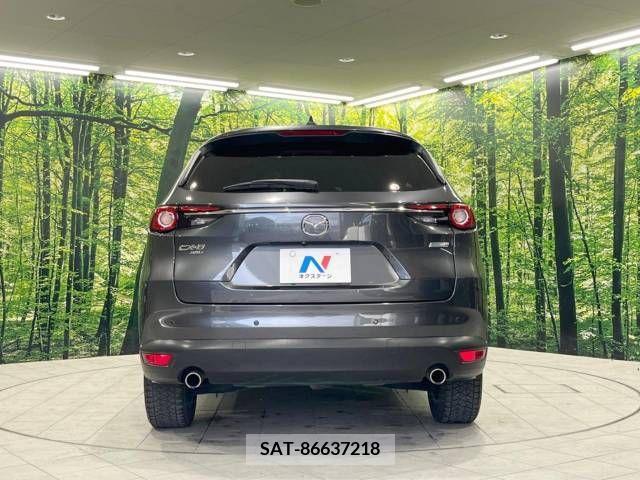 Mazda CX-8 2018-12 266253-15