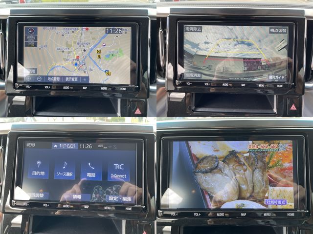 Toyota ALPHARD 2018-10 189923-8