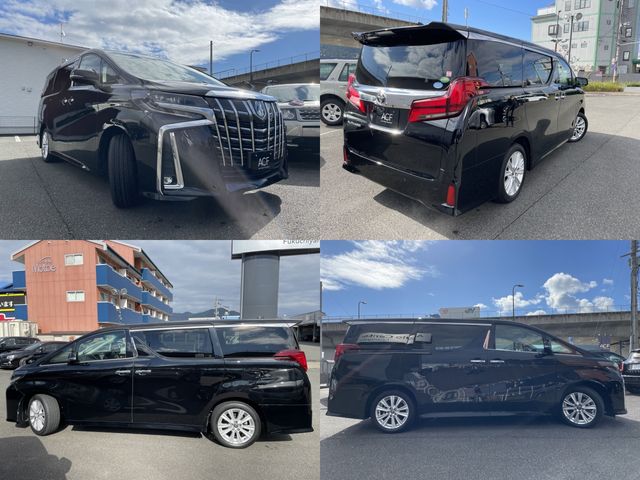 Toyota ALPHARD 2018-10 189923-3