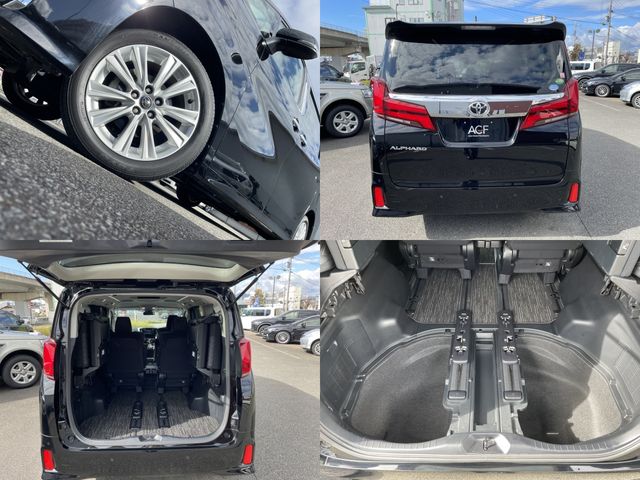 Toyota ALPHARD 2018-10 189923-5