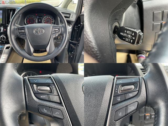 Toyota ALPHARD 2018-10 189923-9