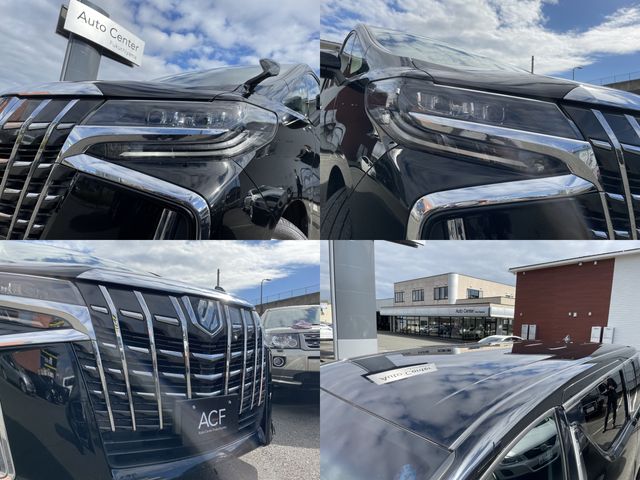 Toyota ALPHARD 2018-10 189923-4