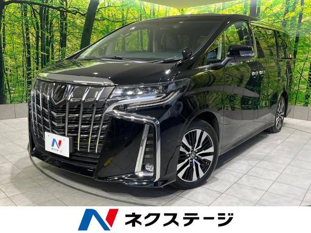 Toyota ALPHARD 2022-11 189544-0