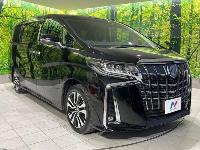 Toyota ALPHARD 2022-11 189544-15