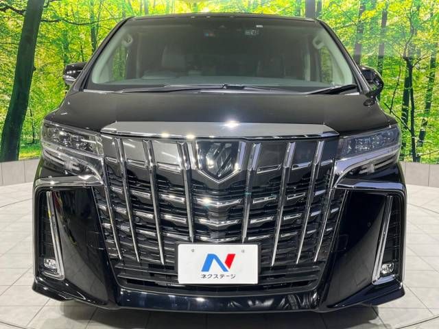 Toyota ALPHARD 2022-11 189544-13