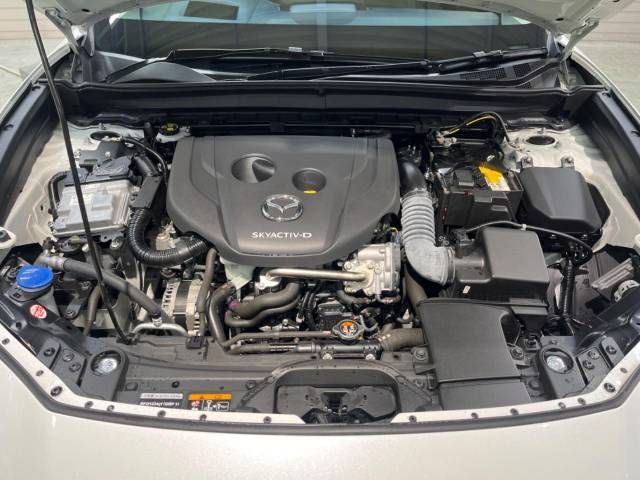 Mazda CX-30 2019-10 22385-19