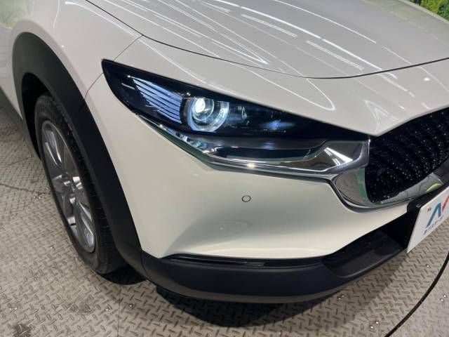 Mazda CX-30 2019-10 22385-12
