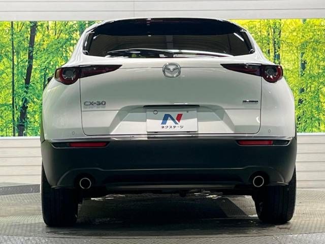Mazda CX-30 2019-10 22385-15
