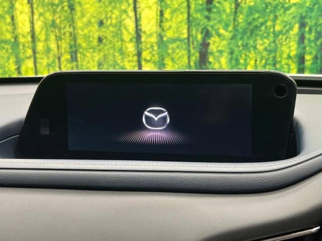 Mazda CX-30 2019-10 22385-2