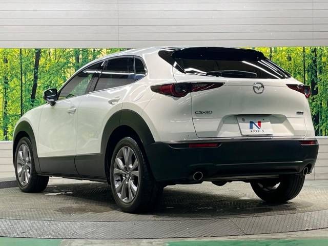 Mazda CX-30 2019-10 22385-5