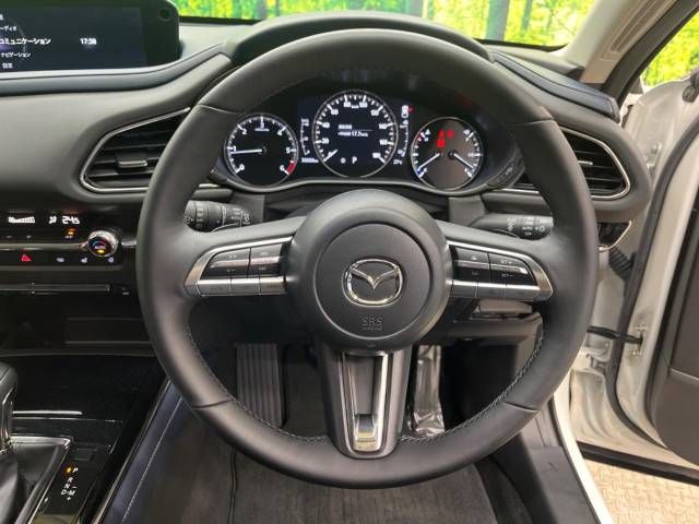 Mazda CX-30 2019-10 22385-11