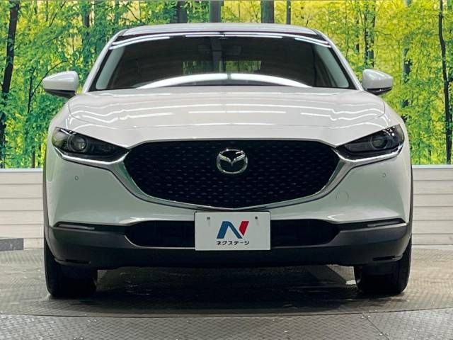 Mazda CX-30 2019-10 22385-14