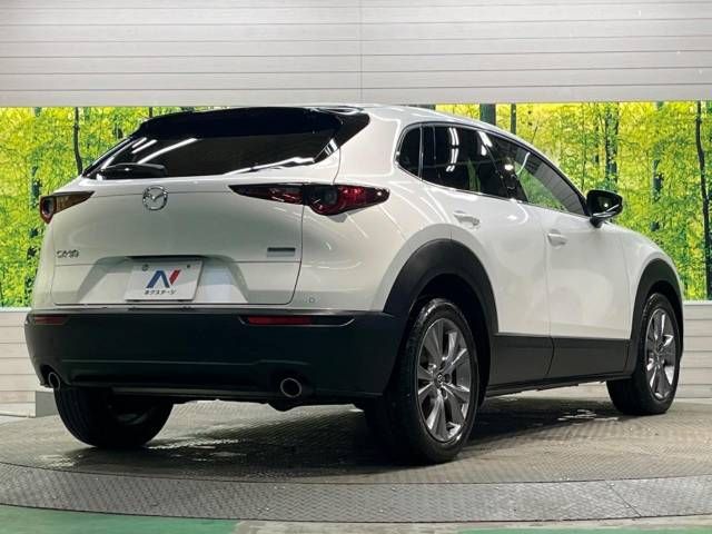 Mazda CX-30 2019-10 22385-17