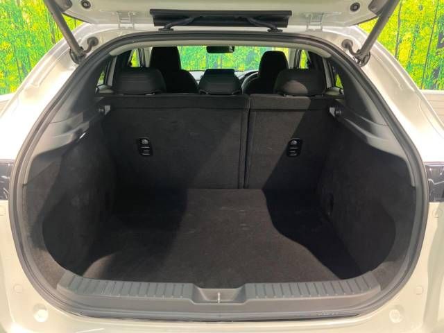 Mazda CX-30 2019-10 22385-10
