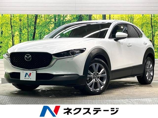 Mazda CX-30 2019-10 22385-0